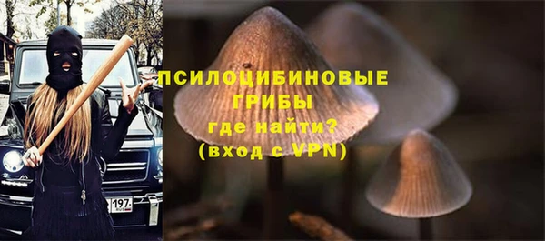 spice Бородино
