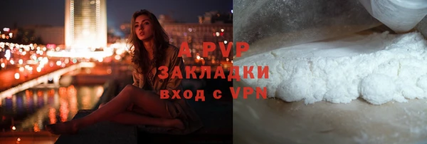 PSILOCYBIN Богданович