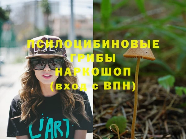 spice Бородино