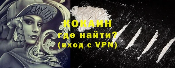 PSILOCYBIN Богданович