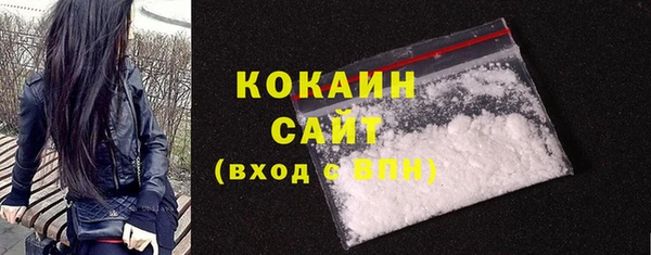 дживик Елабуга
