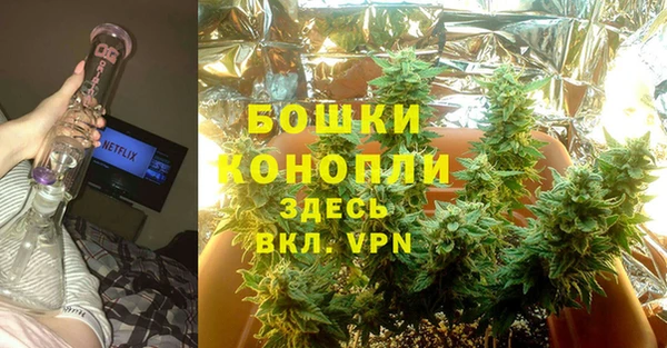 spice Бородино